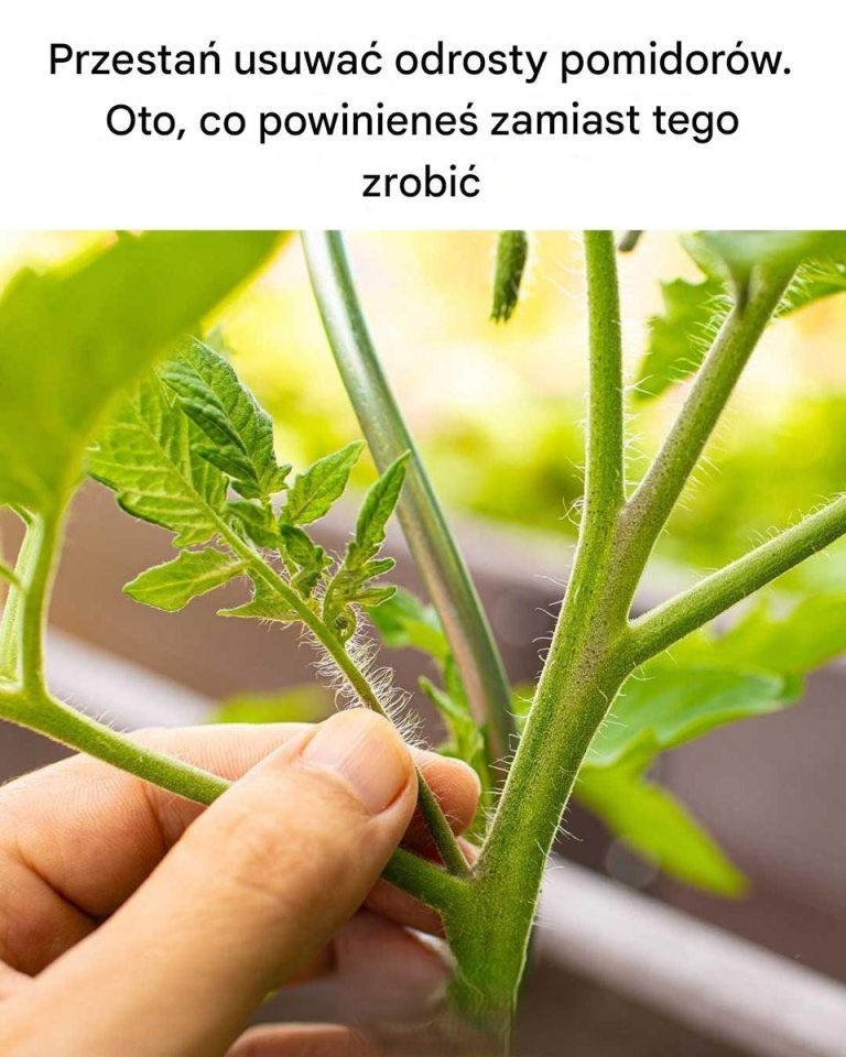 Dla mnie to nowość!
