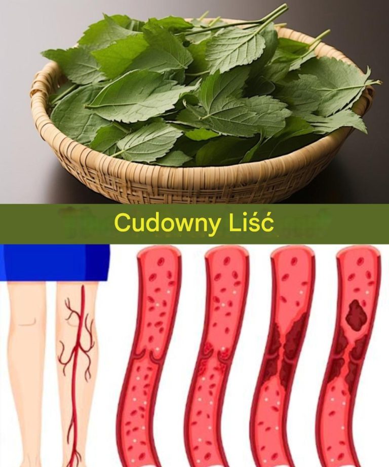 Liść obniża cukrzycę, ciśnienie krwi, łagodzi ból ciała, obniża poziom cholesterolu i likwiduje problemy z krążeniem