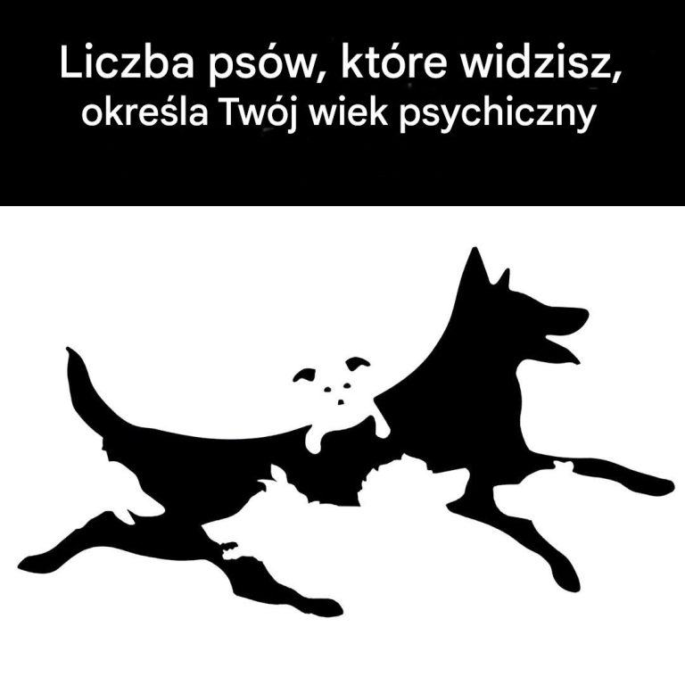 Liczba psów, które widzisz na tym obrazku, określa Twój wiek umysłowy