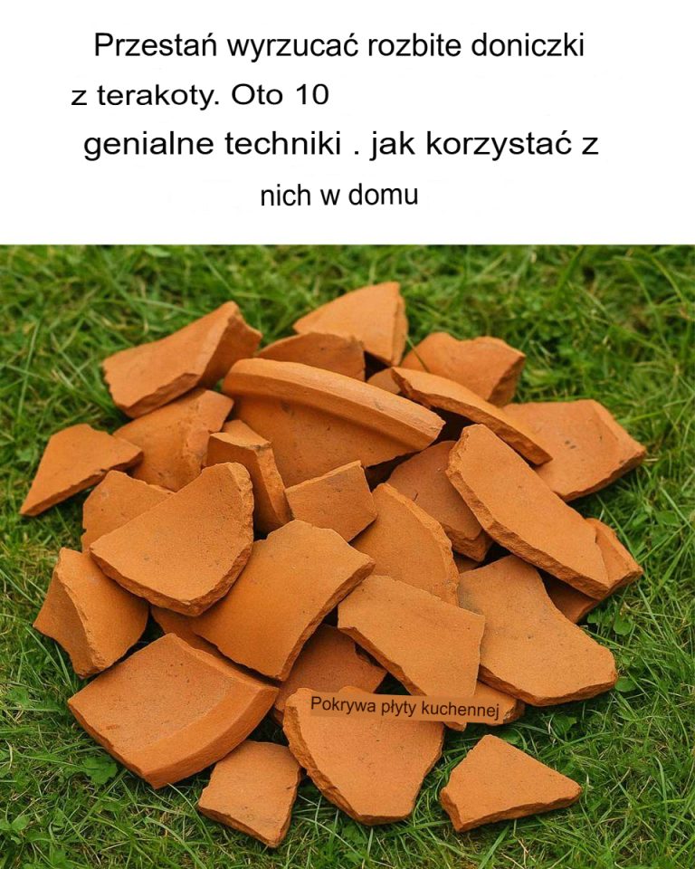 Przestań wyrzucać potłuczone doniczki terakotowe. Oto 10 genialnych trików, jak wykorzystać je w domu.