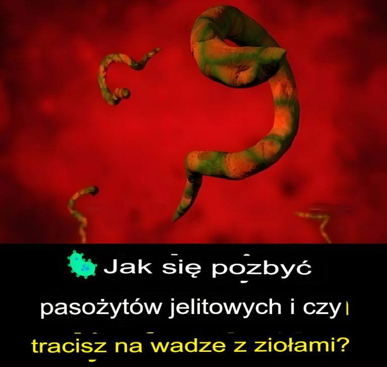 Jak pozbyć się pasożytów jelitowych i schudnąć dzięki ziołom?