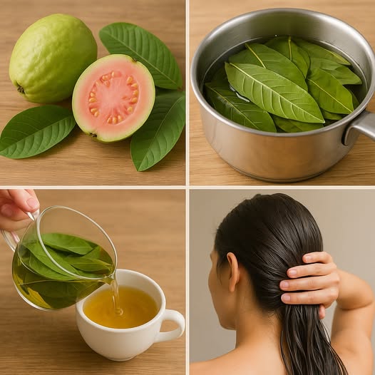 Cook guava odchodzi dla tych niesamowitych korzyści zdrowotnych