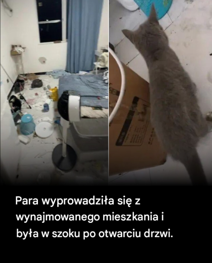 Para wynajęła mieszkanie i wyprowadziła się. Właściciel był w szoku, gdy otworzył drzwi mieszkania.