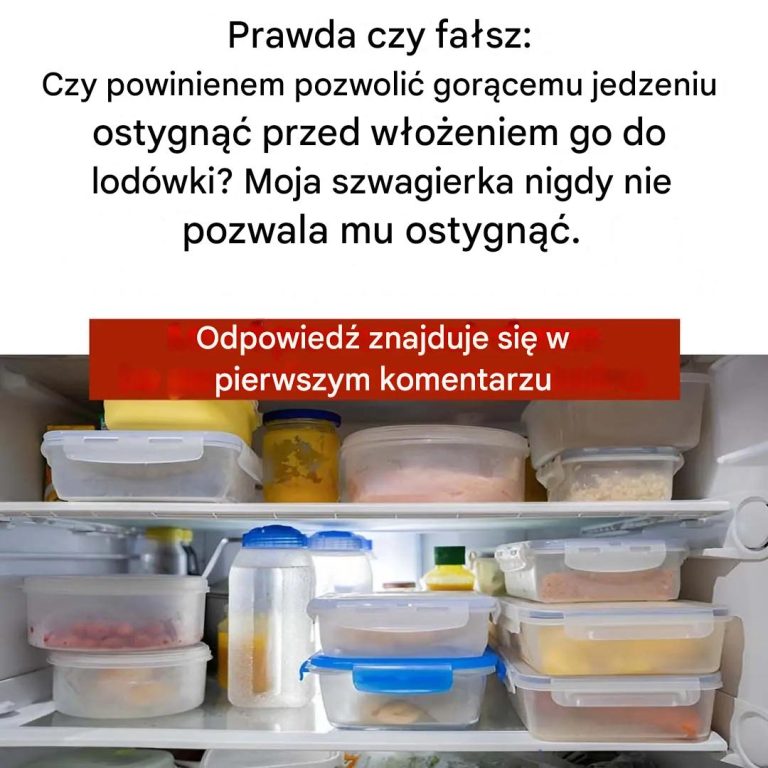 Najlepsze praktyki przechowywania gorących dań w lodówce
