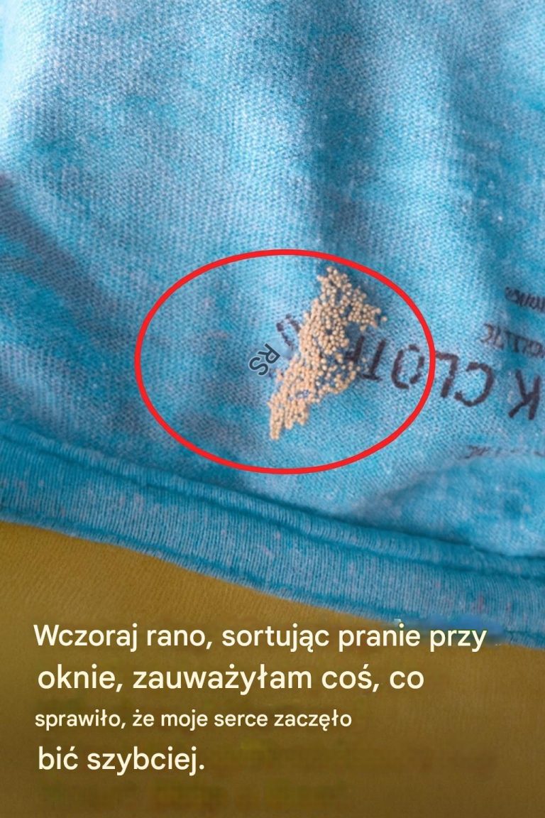 Wczoraj rano, sortując pranie przy oknie, zauważyłam coś, co sprawiło, że moje serce zaczęło bić szybciej.