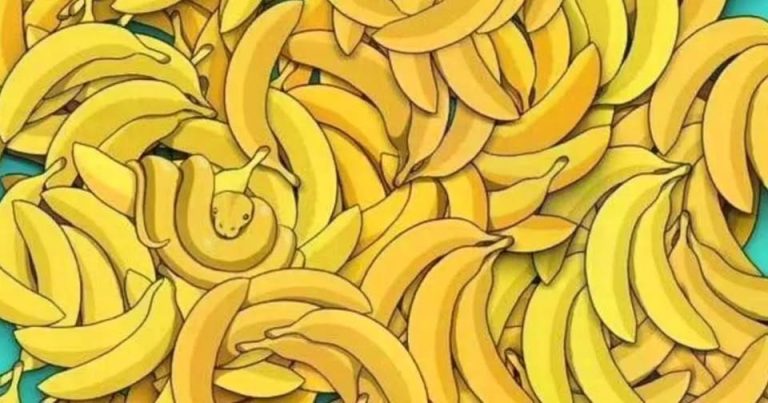 Czy potrafisz znaleźć zwierzę ukryte wśród bananów?