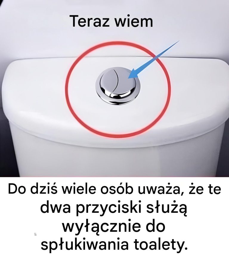 Wiele osób uważa, że ​​te dwa przyciski służą tylko do spłukiwania toalety.