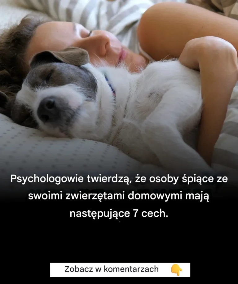 Według psychologów osoby śpiące ze swoimi zwierzętami mają 7 wspólnych cech